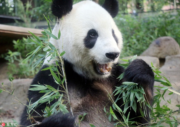 ?? ? ?? ?? ??? ???? ?? ‘??’