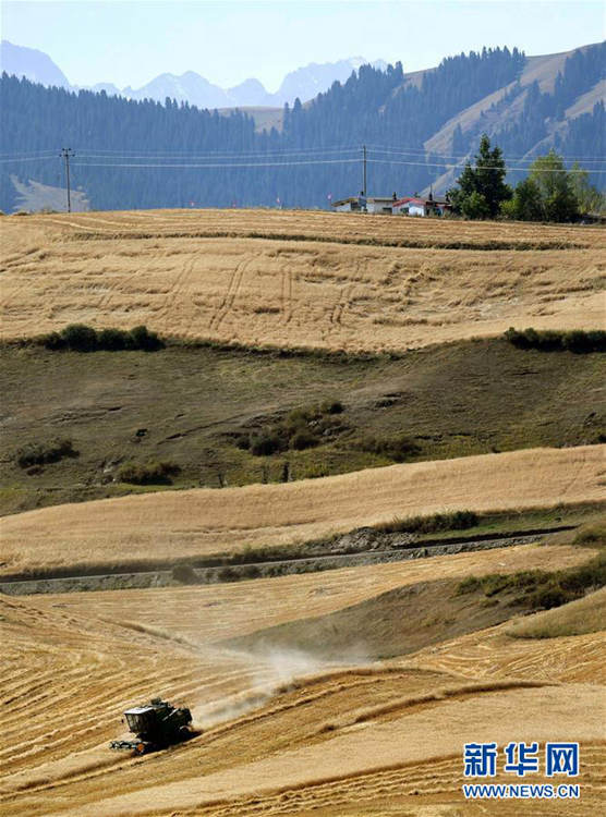 ?? ??? ??? ?? ???? ?? ??