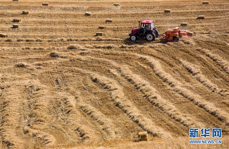 ?? ??? ??? ?? ???? ?? ??