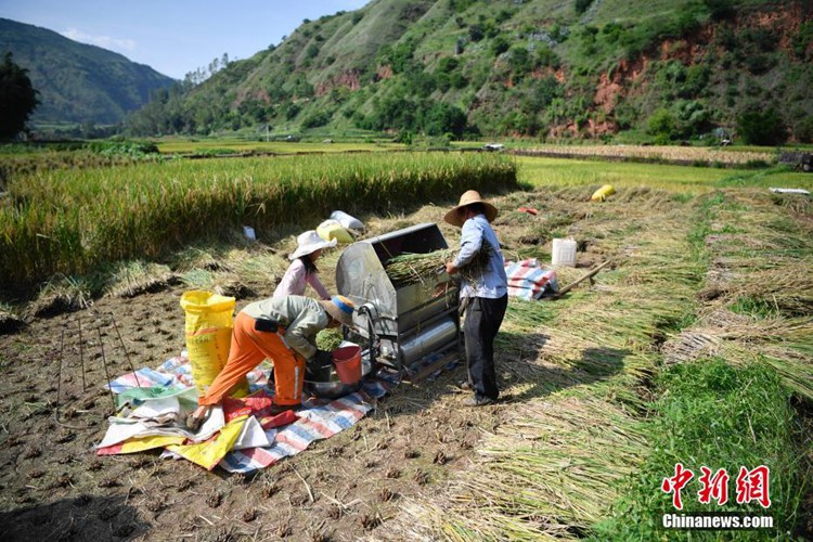 ?? ?? ???: ??? ?? ??? ?