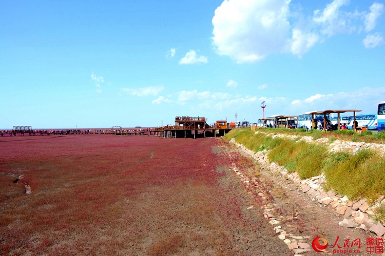 ???? ? ? ?? ??, ?? ????? ??? ‘?? ??’