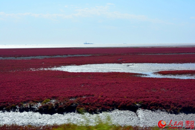 ???? ? ? ?? ??, ?? ????? ??? ‘?? ??’