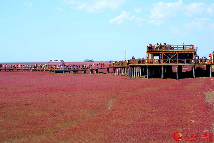 ???? ? ? ?? ??, ?? ????? ??? ‘?? ??’