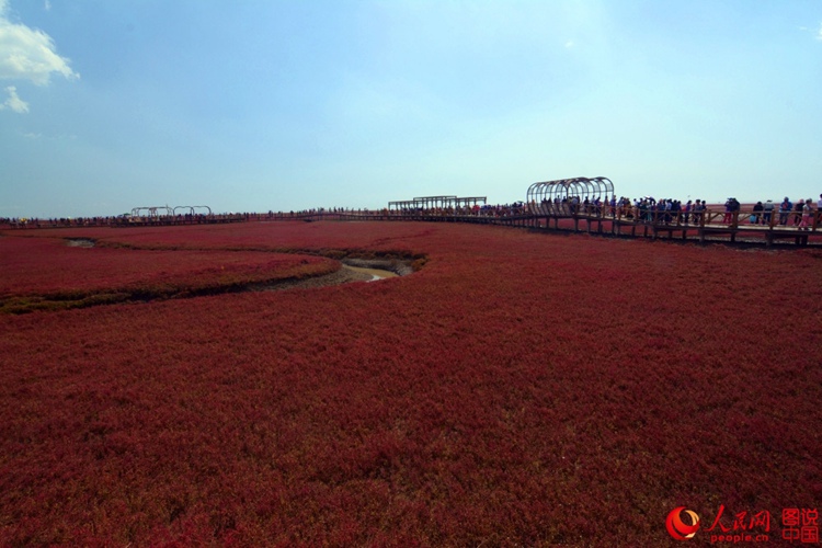 ???? ? ? ?? ??, ?? ????? ??? ‘?? ??’