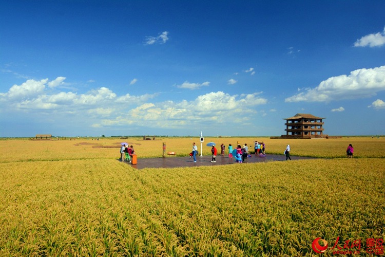 ???? ? ? ?? ??, ?? ????? ??? ‘?? ??’