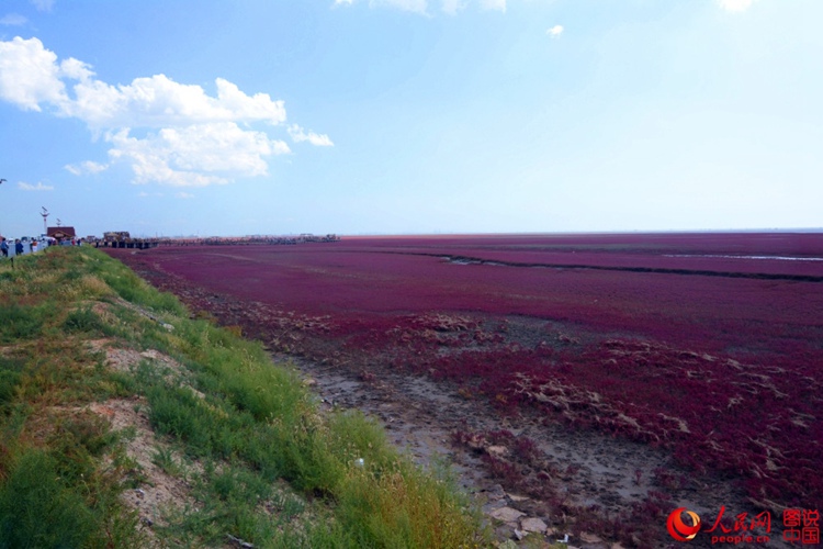 ???? ? ? ?? ??, ?? ????? ??? ‘?? ??’