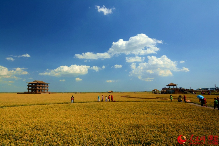 ???? ? ? ?? ??, ?? ????? ??? ‘?? ??’