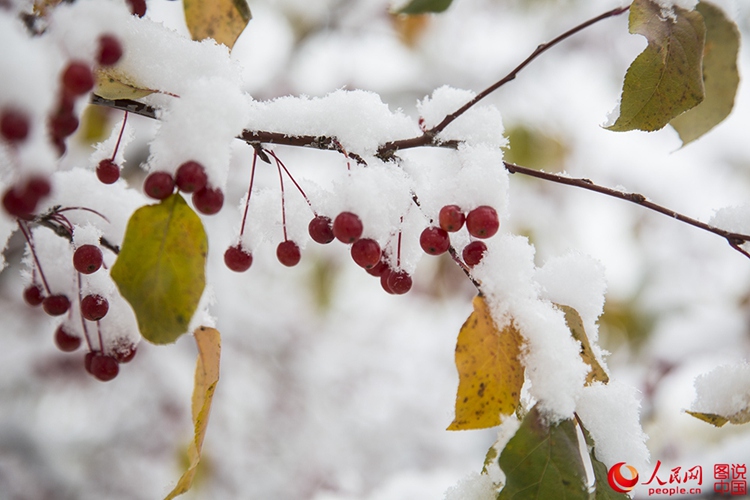 ???? ?? 9?? ? ??…??? ? ?? ?? ???