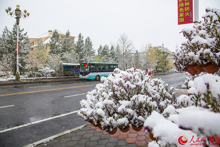 ???? ?? 9?? ? ??…??? ? ?? ?? ???