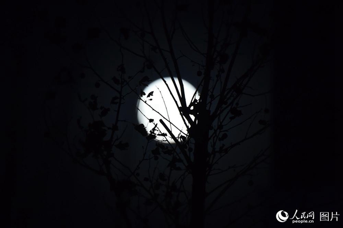 ?? ??? ??? ??? ??, 80?? 8??? ? ???