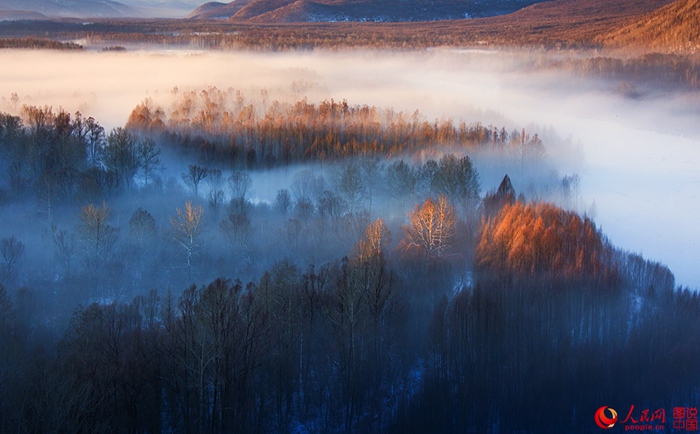 ???? ?? ?? ??, ???? ???? ‘??’