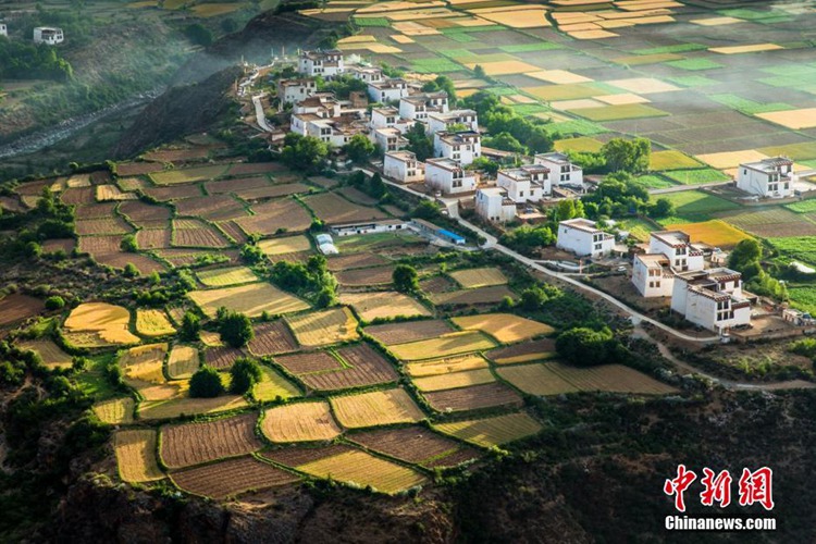 ‘???? ??, ??? ??’ ?????? ??, ??? ??