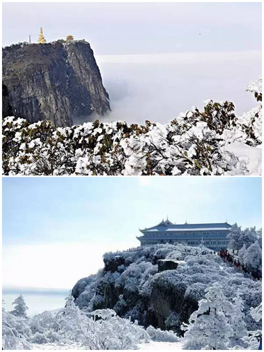 ? ?? ?? ??? ??, ????X????X????X???…