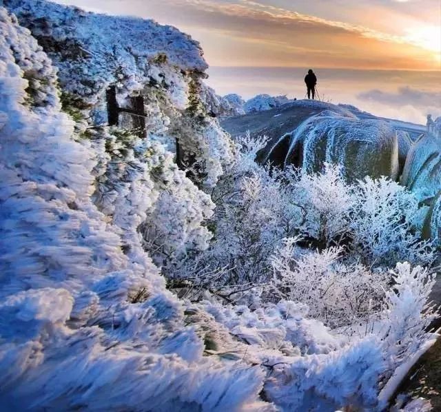 ? ?? ?? ??? ??, ????X????X????X???…