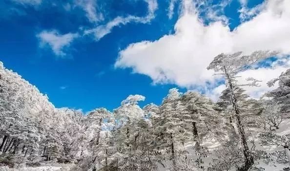 ? ?? ?? ??? ??, ????X????X????X???…