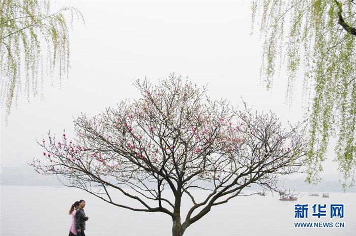 ???, ???? ???? ? ??…???? ? ???? ? ??