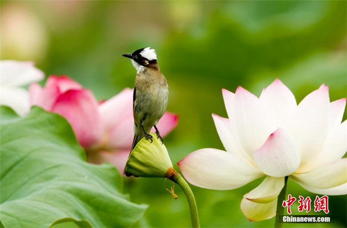 ?? ?? ?? '??? ??' ??? ??? ??