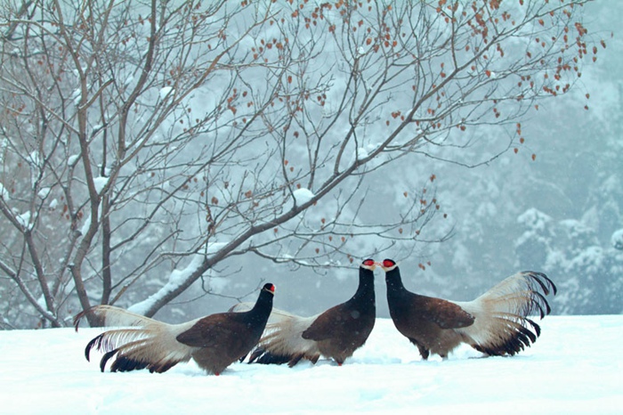 ?? ?? ?????…????? ?? ??