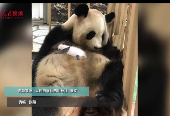 日? ?? ??? ?? ?? ?? ? ???? ??? ?? 13??? ??!