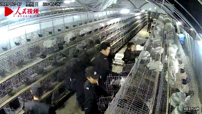 ?? ? '5??? ??', 4000?? ?? ?? ?? ??