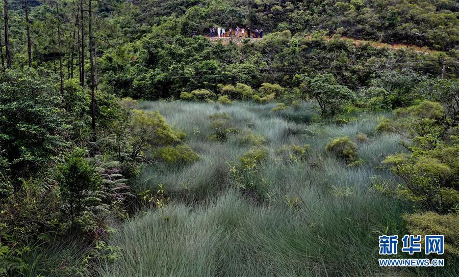 ?? 1? ????? ??(香山)? ???(古驛道??????)?? ??? ??? ‘????(煙波潮湧: ??? ??? ???? ????? ??)’? ???? ??. (???? ??) [?? ??=???] 