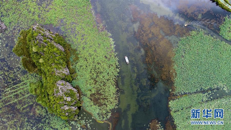 ????? ?? ?? ????(普者黑) ??????? ?? ? ?? ??? ??? ??. [?? ??: ???]