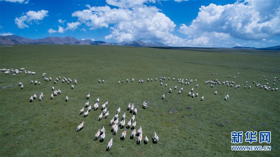 7? 29? ??(祁連)???? ??? ? ? [?? ??: ???]