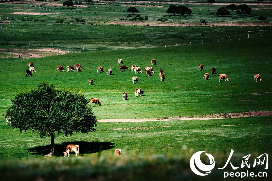 ? ?? ?? ? ???? ?? ?? ??. [?? ??: ??? ??(Tanja)]