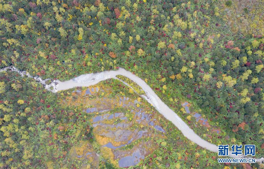 ???(派墨) ??? ?? ?? ? [?? ??: ???]