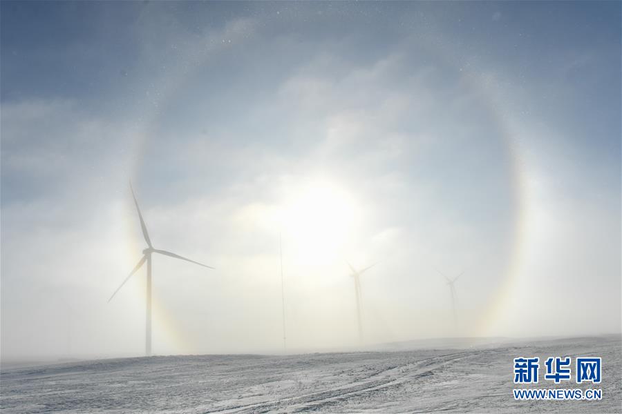 ???? ????????? ??? ??? ?? [1? 13? ??/?? ??: ???]