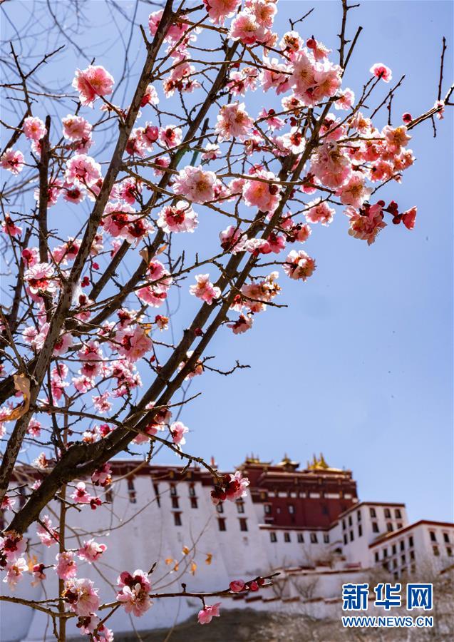 ?????? ??? ????(布達(dá)拉宮, ????) [3? 10? ??/?? ??: ???]