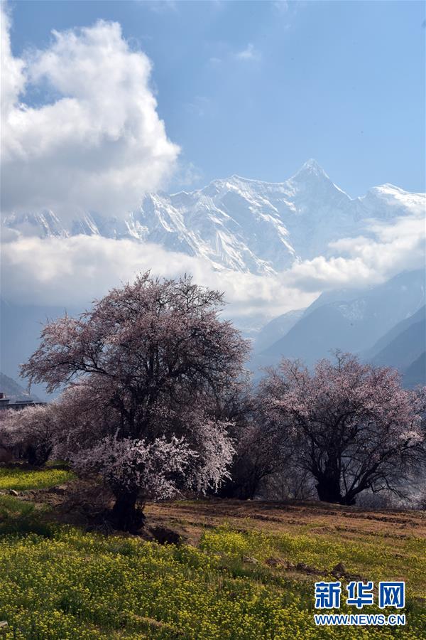 ?????? ??? ?? ????. [4? 1? ??/?? ??: ???]