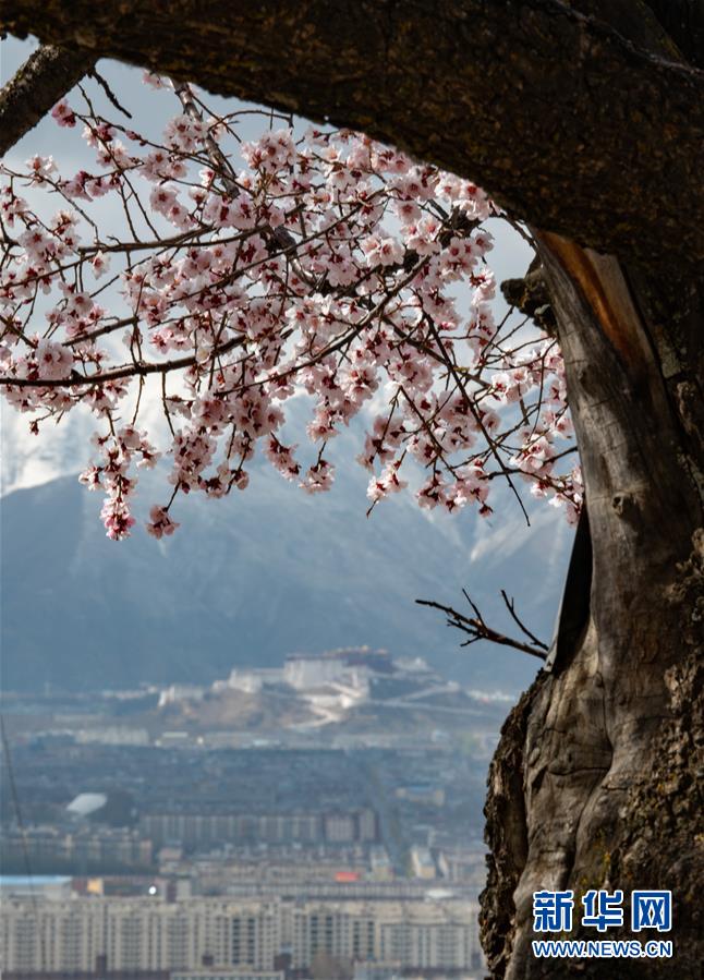 ??? ??? ? ???. ???? ??? ?? ????? ???. [4? 7? ??/?? ??: ???]