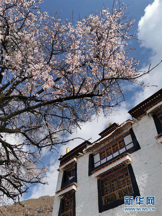 ??? ??? ? ??? [4? 7? ??/?? ??: ???]