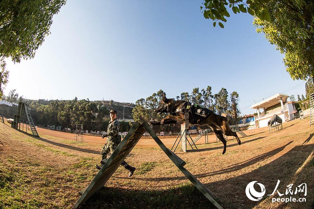 ???? ?? ??? ??? ?? ??. [?? ??: ???]