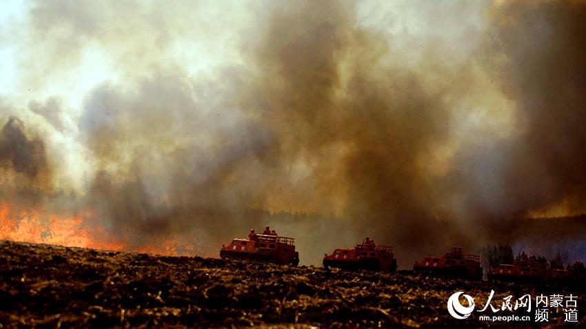 ??? ??? ??? ???(樹冠火)? ???? ??. [?? ??: ???]