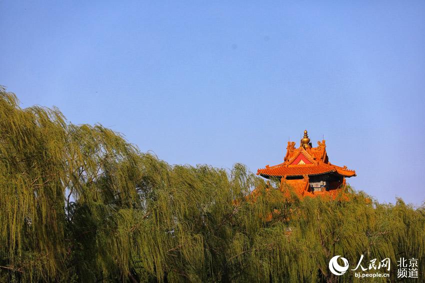 ? ?? ?? ??? ?? ?? [?? ??: ???]