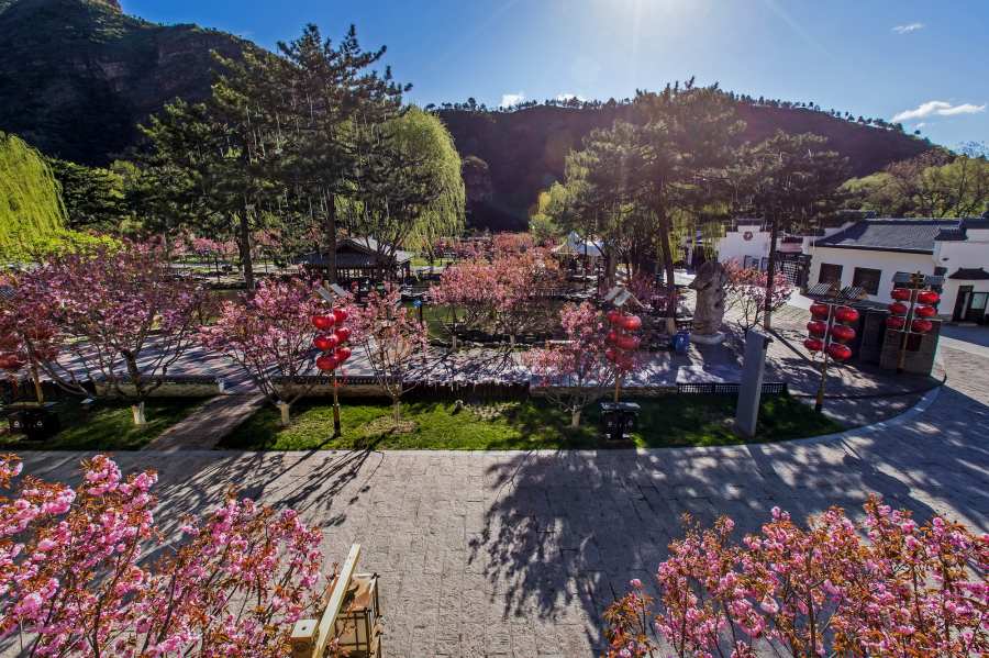 ??? ??? [?? ??: ???]