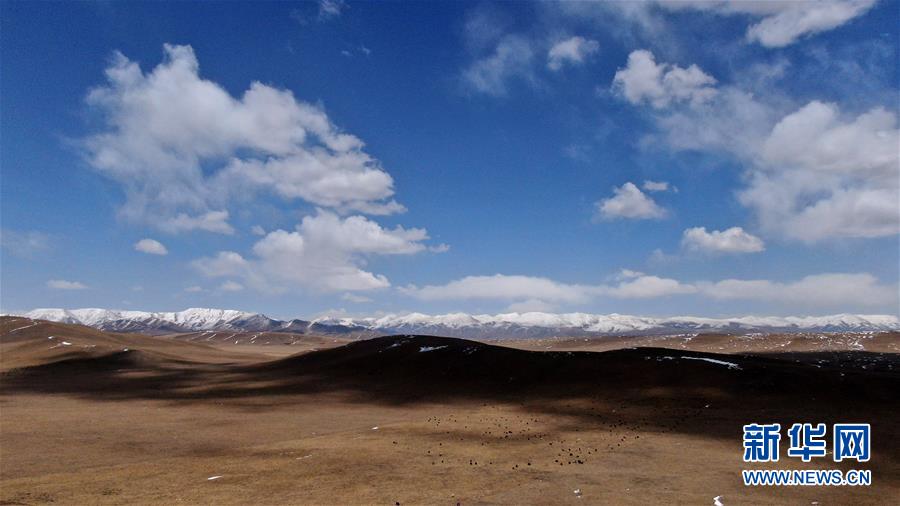 ?? ?? ??? ?? ??? ??? ?? ??. [4? 25? ?? ??/?? ??: ???]