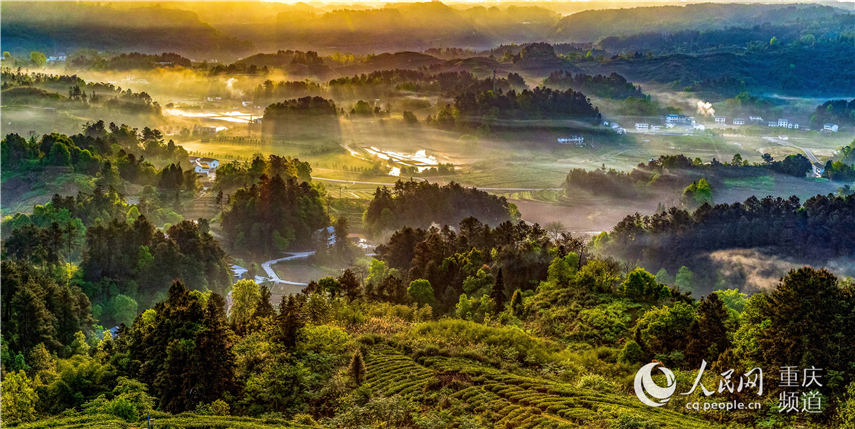 ?? ?? ? ??? ??? ??? ????? ??? ????. [?? ??: ???]