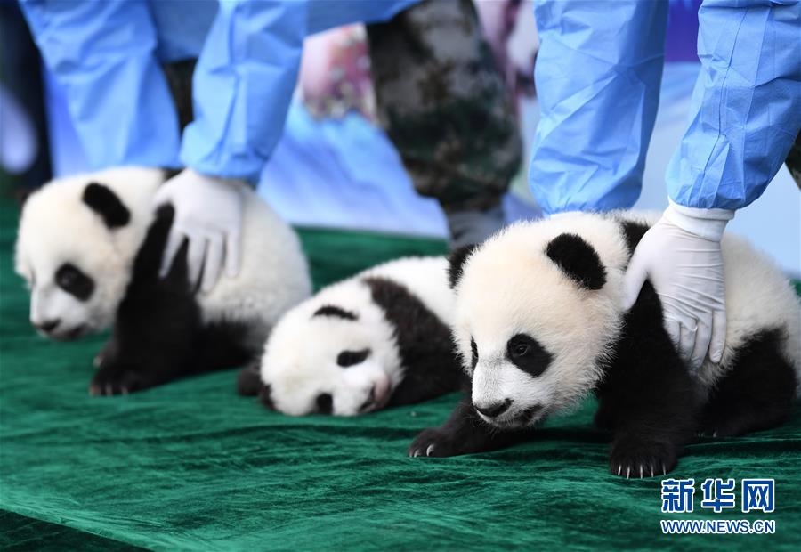 ?? ?????? ?? 3??? ?? ??? ?????? ???? ?? ?????? ???????? ??? ????. [2019? 11? 11? ??/?? ??: ???]