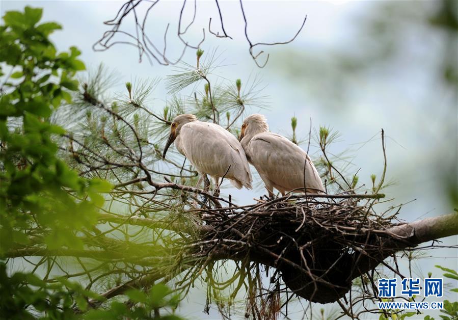 ?? ?? ????(寨溝)?? ?? ??? ??? ?? ? ??? ???? ??? ???? ??. [2012? 5? 31? ??/?? ??: ???]