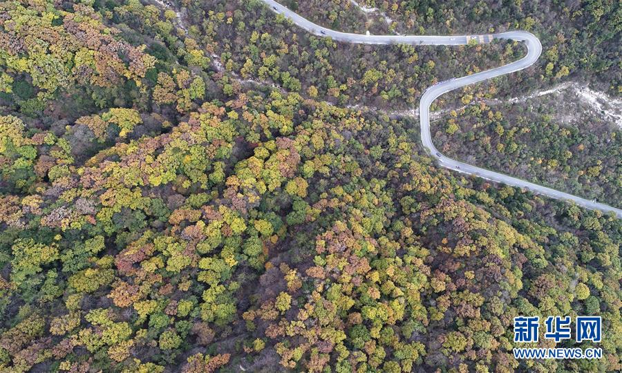 ?? ???? ??? ?????? ?? [2018? 10? 23? ?? ??/?? ??: ???]