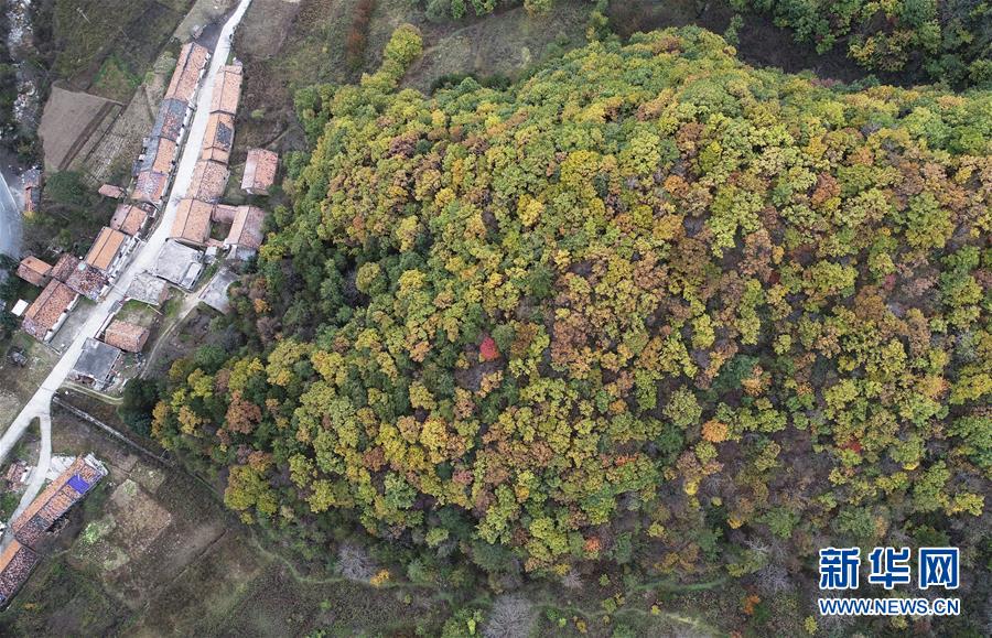 ?? ???? ??? ?????? ?? [2018? 10? 23? ?? ??/?? ??: ???]