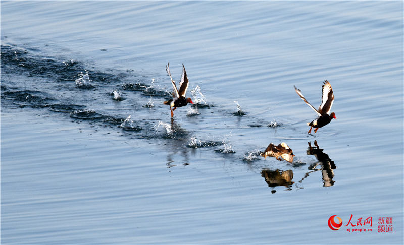 ?? ????? ?? ??? ?? [?? ??: ???]