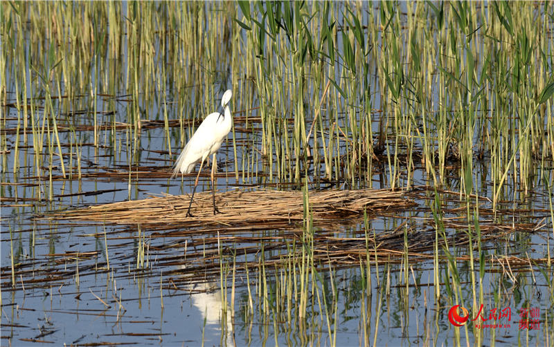 ?? ????? ?? ??? ?? [?? ??: ???]