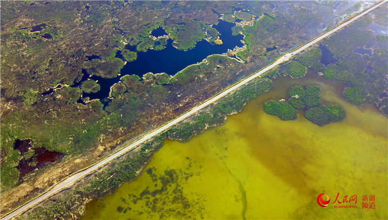 ?? ????? ?? ??? ?? [?? ??: ???]