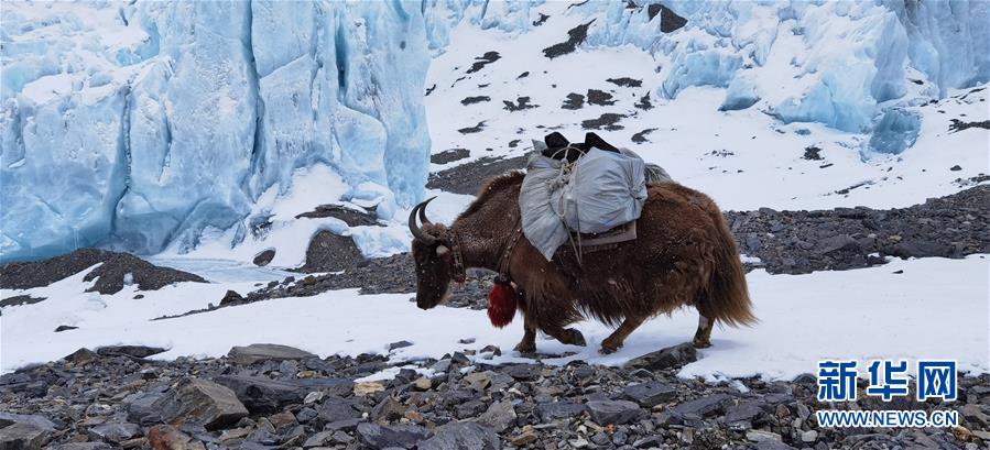 ??? ?? 6,500m? ????? ?? ?????? ??? ???? ??. [5? 20? ??/?? ??: ???]