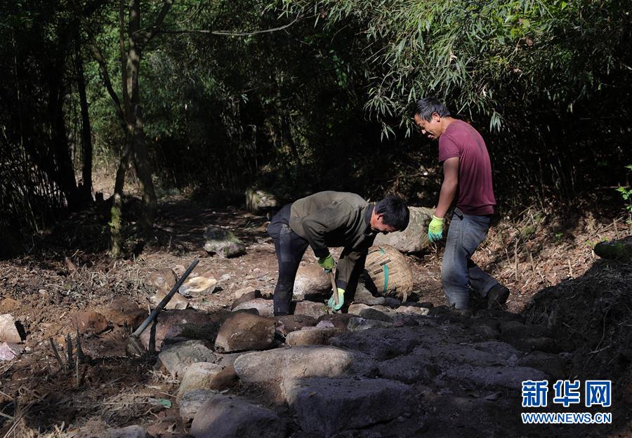 ???? ??? ????? ???? ??. [5? 25? ??/?? ??: ???]