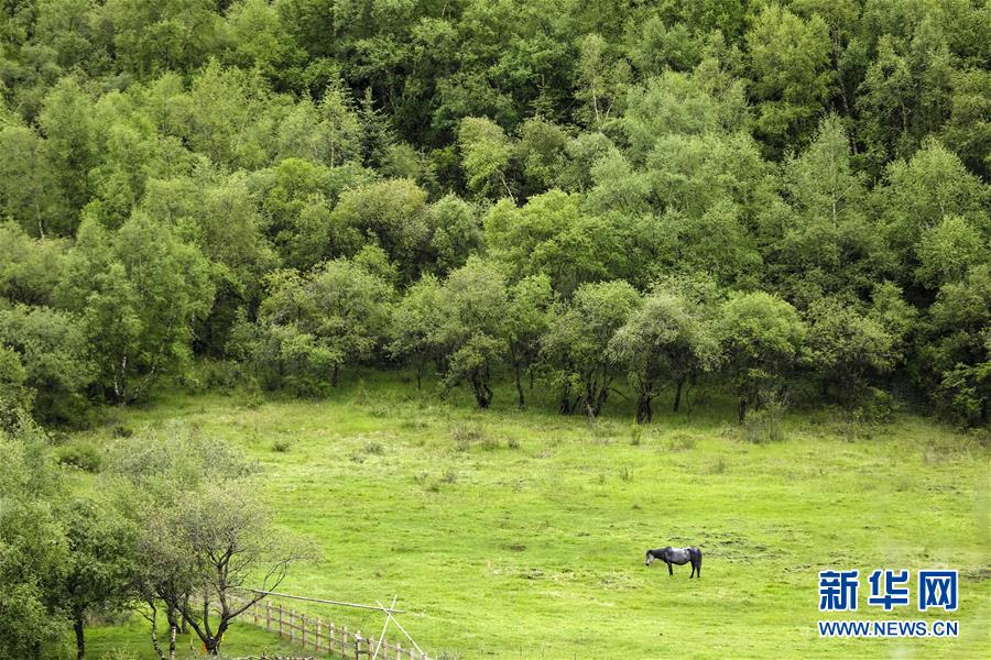 ?? ??? ?? [6? 15? ??/?? ??: ???]